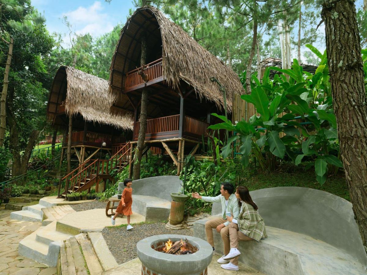 The Maribaya
