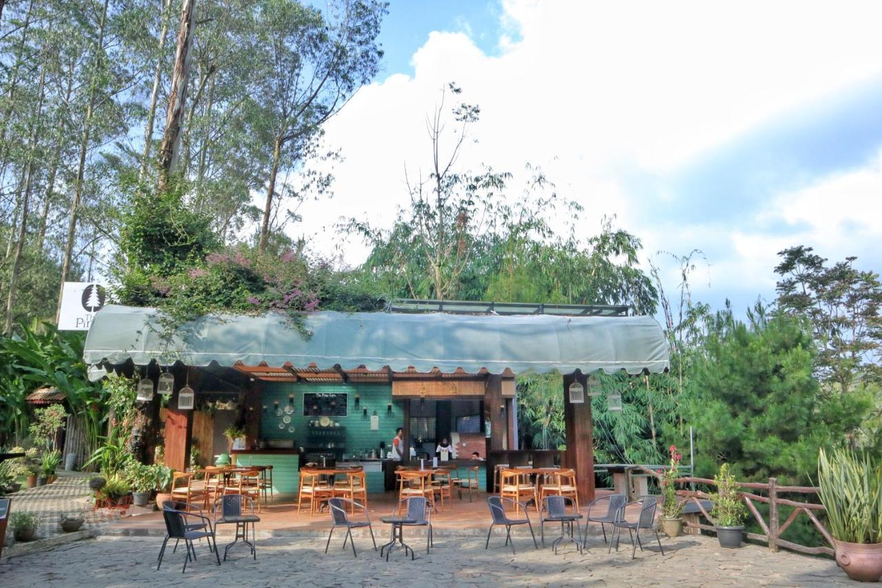 The Maribaya